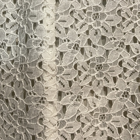 Loft  lined lace skirt - Picture 2 of 6